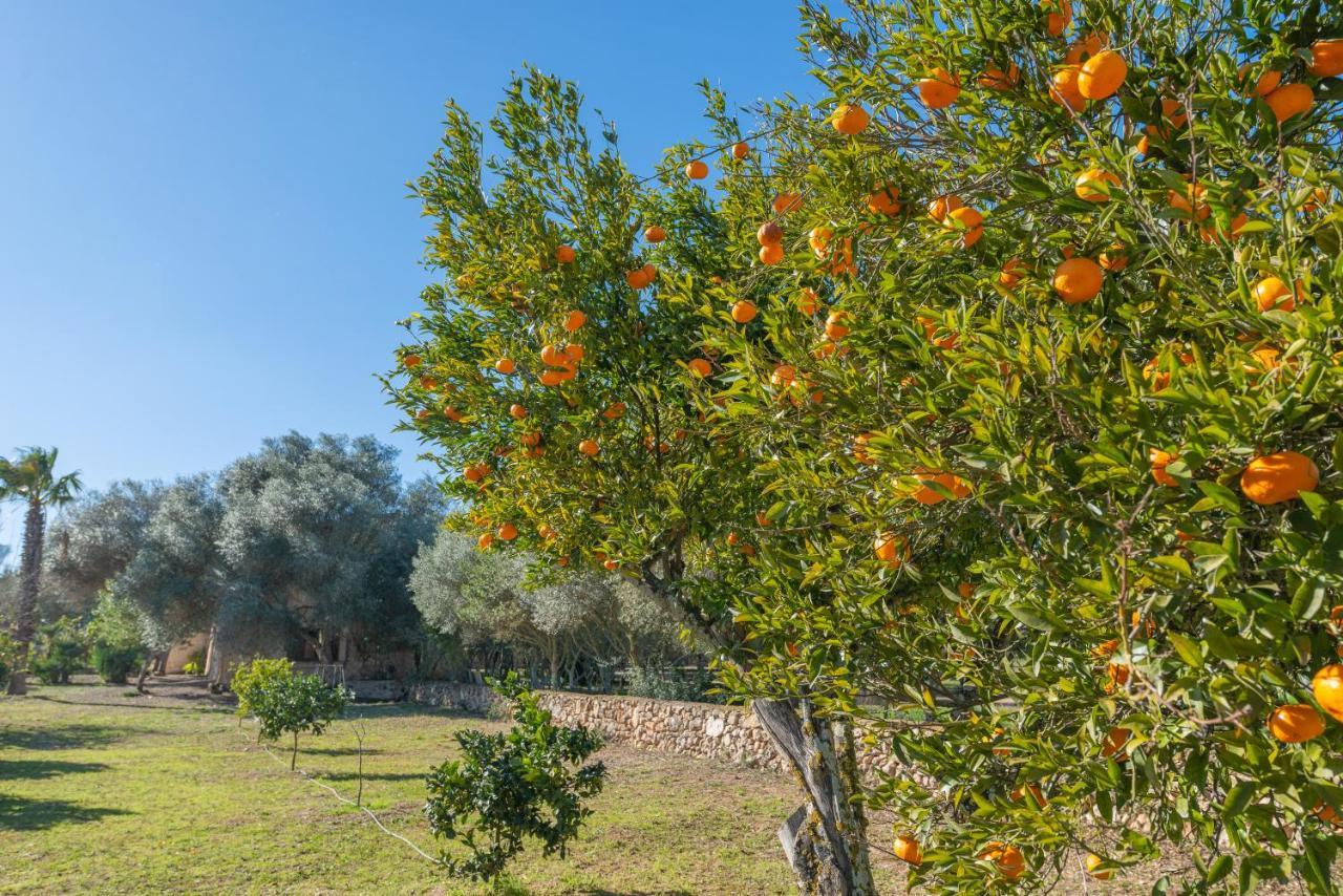 Son Brun Villa Manacor (Mallorca)